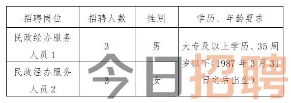 西华县民政局最新招聘信息全面解析，西华县民政局最新招聘信息深度解读