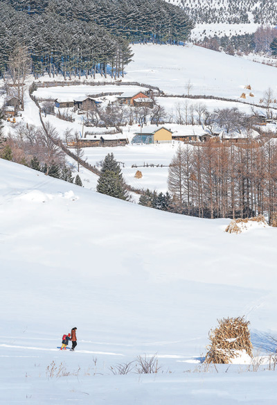 塘巴雪村最新交通新闻，探索与前行，为旅游出行带来便利，塘巴雪村交通最新动态，探索与前行，助力旅游出行便利化