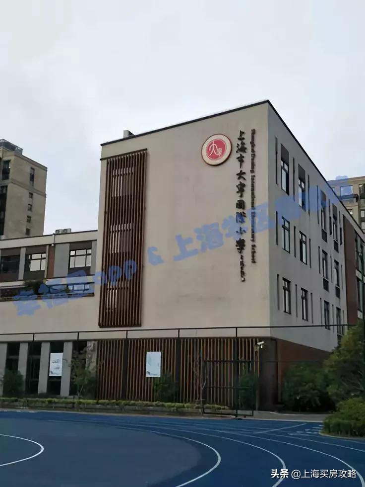 大宁县小学最新领导团队介绍及其影响力分析，大宁县小学领导团队介绍及影响力分析概览