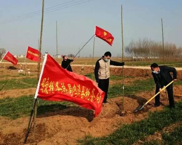 鸡泽县住房和城乡建设局最新新闻，鸡泽县住房和城乡建设局最新动态报道